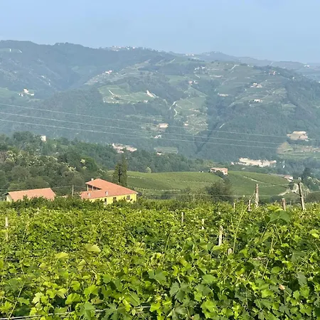 公寓 Belpoggio Langhe Wine Country 15m Pool High-speed Wifi Cossano Belbo