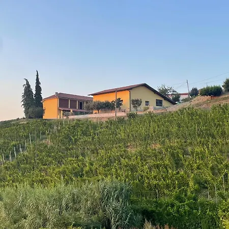 Lägenhet Belpoggio Langhe Wine Country 15m Pool High-speed Wifi *